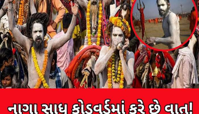 કોડવર્ડમાં  કેમ વાત કરતા હોય છે નાગા સાધુઓ? દાળ, મીઠું, લોટ...વગેરેને શું કહે છે