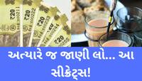 2 કપ ઓછી ચા પીવાથી પણ બની શકો લાખોપતિ! આજે પણ અડધું ભારત નથી જાણતું આ સીક્રેટ્સ