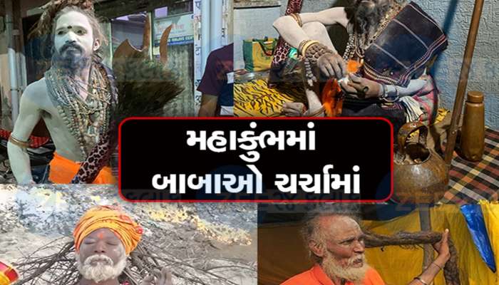 વિવિધ બાબાઓએ કુંભમાં જગાવ્યું આકર્ષણ, કાંટાવાળા બાબા, કબૂતર બાબા ચર્ચામાં