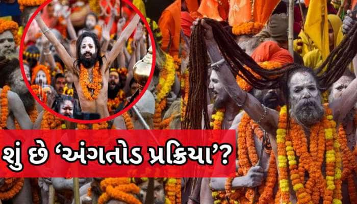 અત્યંત કપરી અંગતોડ પ્રક્રિયા બાદ બની શકાય નાગા સાધુ, ગુપ્તાંગની ખેંચવામાં આવે છે નસ