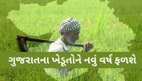 ગુજરાત સરકારનો આ લાભ લેવામાં મોડા પડ્યા છો? ઉતાવળ કરજો, 33863 ખેડૂતોએ કરાવી નોંધણી