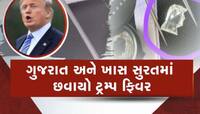 શપથ પહેલા સુરતમાં છવાયો ટ્રમ્પ ફિવર, ટ્રમ્પની પ્રતિકૃતિનો ખાસ ડાયમંડ કરાયો તૈયાર