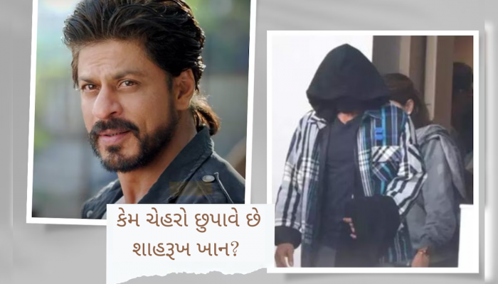 ક્યારેક છત્રીથી તો ક્યારેક હૂડીથી... કેમ ચેહરો છુપાવે છે શાહરૂખ ખાન? એક્સ સિક્યોરિટી ઈન્ચાર્જે કર્યો ખુલાસો