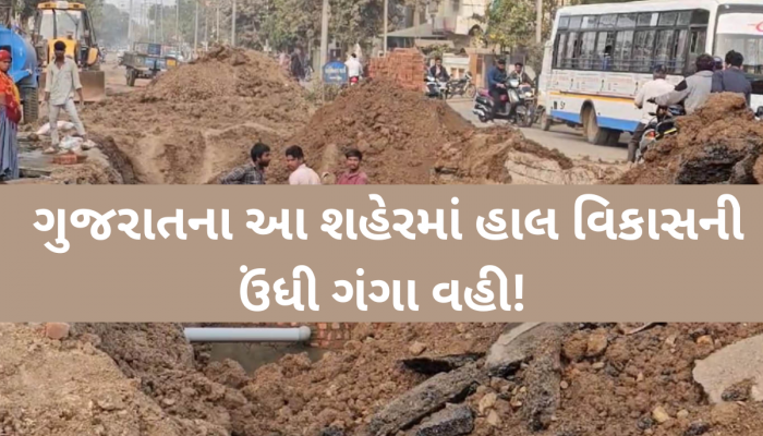 પ્રજાના પૈસાનો આ રીતે વેડફાટ? આ શહેરમાં રસ્તાની બાજુમાં નાખવામાં આવેલા બ્લોકનું નખ્ખોદ વાળ્યું!
