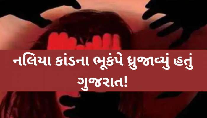 કચ્છના નલિયા સામુહિક દુષ્કર્મ કેસમાં સેશન્સ કૉર્ટનો મહત્વપૂર્ણ ચૂકાદો; તમામ 8 આરોપી નિર્દોષ જાહેર