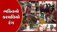 જીવતા કરચલાઓથી ભરાઈ જાય છે ગુજરાતનું આ મંદિર, શિવલિંગની ફરતે વીંટળાયેલા દેખાય