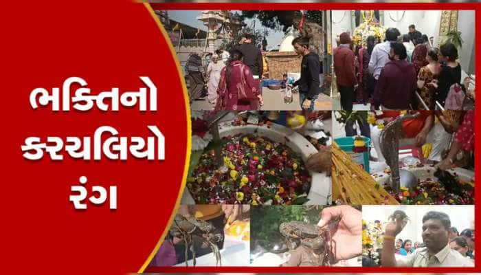 જીવતા કરચલાઓથી ભરાઈ જાય છે ગુજરાતનું આ મંદિર, શિવલિંગની ફરતે વીંટળાયેલા દેખાય