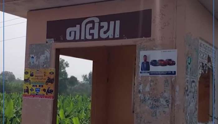 નલિયાની સાઇમા ઠાકોરને મળ્યું ભારતીય મહિલા ક્રિકેટમાં સ્થાન