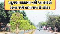 નહીં ખબર હોય! આ કારણે રોડની વચ્ચે લગાવવામાં આવે છે છોડ, જવાબ જાણીને તમે ખુશ થઈ જશો