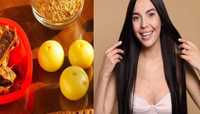 Amla-Shikakai: વાળમાં આમળા અને શિકાકાઈનો પાવડર લગાડવાથી દુર થશે આ 5 સમસ્યા