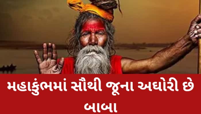 મહાકુંભના એક અઘોરી કાલપુરુષની ભયાનક ભવિષ્યવાણી, સાંભળીને થઈ જશો હેરાન-પરેશાન...