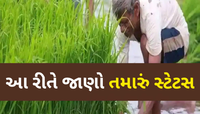 આ ખેડૂતોને નહીં મળે PM કિસાન યોજનાનો લાભ, અહીં ચેક કરો તમારું નામ નથીને લિસ્ટમાં!