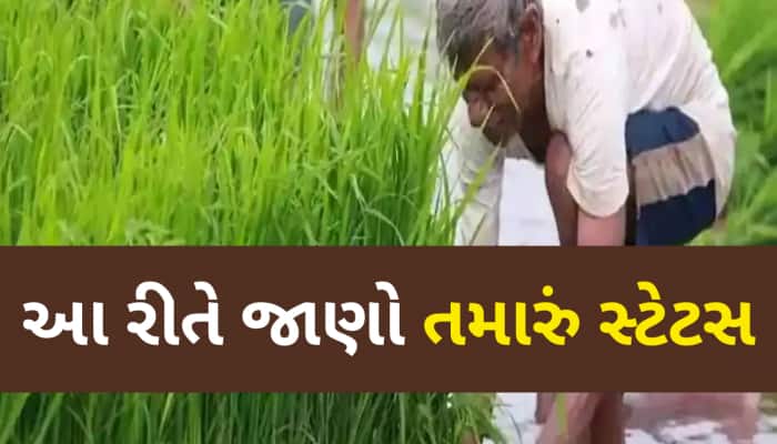આ ખેડૂતોને નહીં મળે PM કિસાન યોજનાનો લાભ, અહીં ચેક કરો તમારું નામ નથીને લિસ્ટમાં!