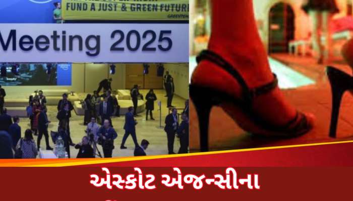દાવોસમાં ભેગા થયા હતા 3000 જેટલા ધનિકો, 9-9 કરોડમાં બુક થઈ છોકરીઓ....સેક્સ પાર્ટીઓ