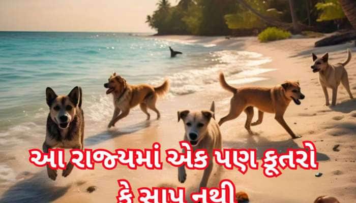 ભારતનું એક માત્ર રાજ્ય...જ્યાં એક પણ કૂતરો જોવા નહીં મળે, સાપ પણ નહીં!