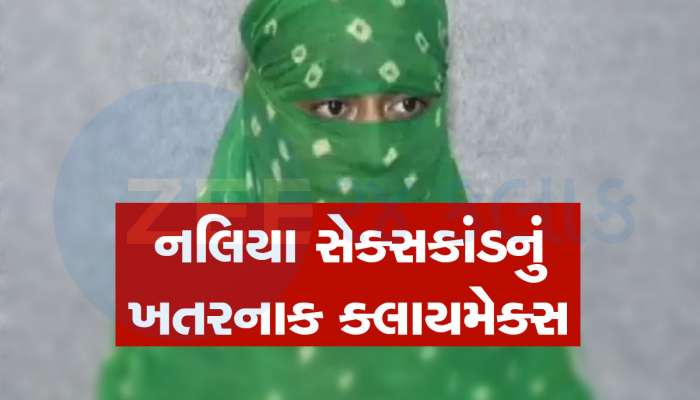 રેપિસ્ટ નિર્દોષ, તો મહિલા પર કોણે બળાત્કાર કર્યો? દિલ્હીની જેસિકા લાલ જેવો ગુજરાતનો નલિયા સેક્સકાંડ