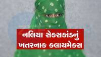 રેપિસ્ટ નિર્દોષ, તો મહિલા પર કોણે બળાત્કાર કર્યો? નલિયા સેક્સકાંડમાં આરોપીઓ નિર્દોષ