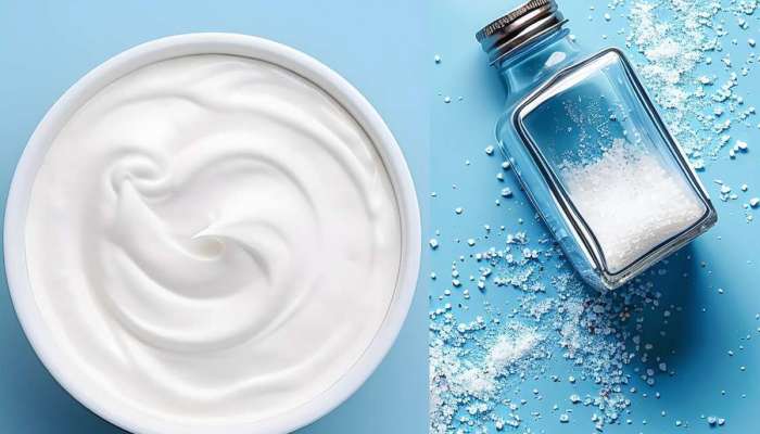 Curd And Salt: દહીંમાં મીઠું ઉમેરીને ખાવાની આદત છોડી દેજો તુરંત, આ 3 રોગના દર્દીએ તો ભુલથી પણ ન ખાવું