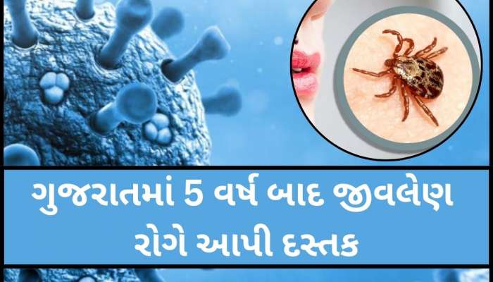 ફરી એકવાર ગુજરાત ખતરામાં! આ જિલ્લામાં નોંધાયો જીવલેણ રોગનો કેસ, આખરે હોસ્પિટલમાં મોત