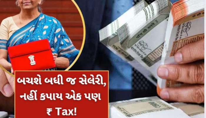 બજેટમાં છૂટ મળે ન મળે દસ લાખ સુધીની કમાણીને કરી શકો છો Tax Free!
