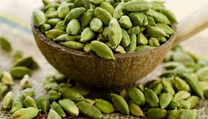 બસ 1 ઈલાયચી ખતમ કરી દેશે સંપૂર્ણ ડાયાબિટીસ, હાઈ બ્લડ પ્રેશરનો છે અચૂક ઈલાજ!