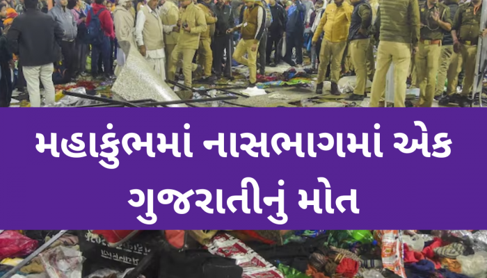 મહાકુંભમાં થયેલી નાસભાગમાં ગુજરાતના એક સહિત 30 શ્રદ્ધાળુના મોત, 60 ઘાયલ