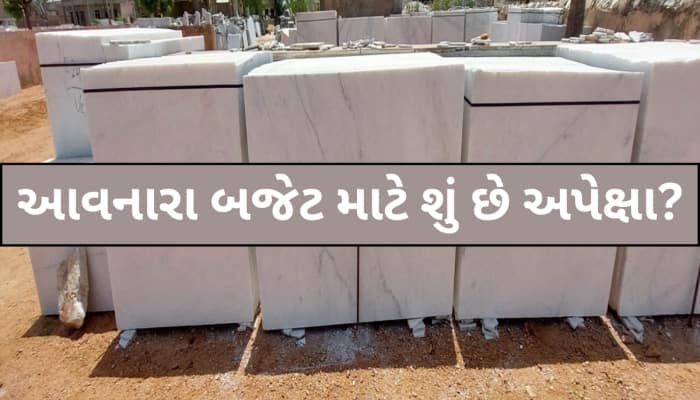 બજેટને લઈને અંબાજીના માર્બલ ઉધોગકારોમાં નિરાશા! જાણો શું છે કારણ અને શું રાખે છે અપે