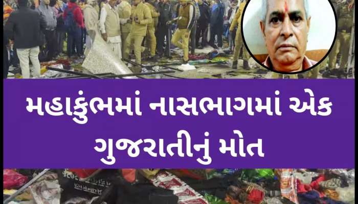 પ્રયાગરાજ મહાકુંભમાં વિસનગરના કડા ગામના મહેશભાઈ પટેલનું મોત, પરિવારજનોમાં શોકની લાગણી