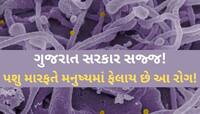 કોંગો ફીવરને લઈને ગુજરાત સરકારની ગાઇડલાઇન; જાણો શું છે લક્ષણો અને બચવાના ઉપાય?