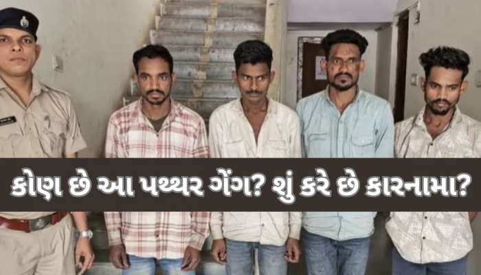 ગુજરાતના આ વિસ્તારોમાં પથ્થર ગેંગનો આંતક; કડકડતી ઠંડીમાં પોલીસની ઉડાડી ઠંડી! 