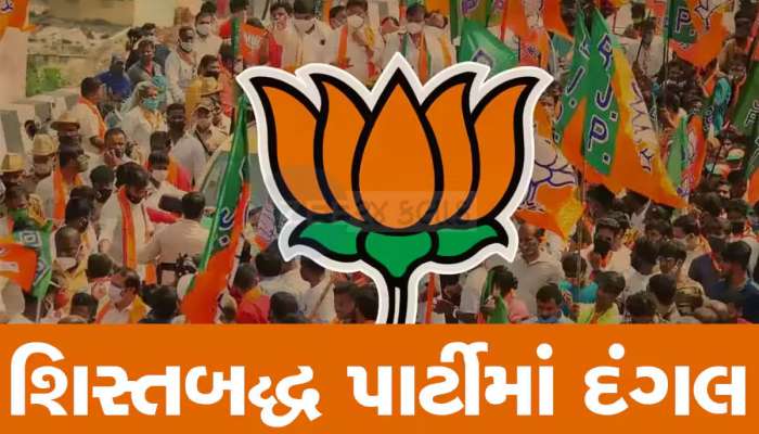 ભાજપમાં ‘ઘર કા ભેદી લંકા ઢાયે’ જેવો ઘાટ સર્જાયો, ટિકિટ કપાતા અપક્ષ ઉમેદવારોના રાફડો ફાટ્યો