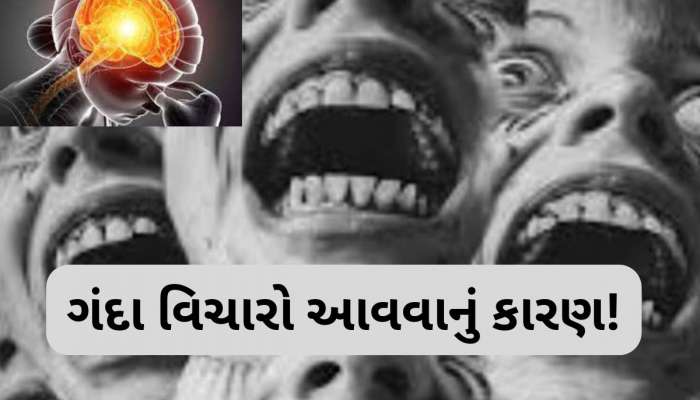 શું તમને ખબર છે કયા વિટામીનની ઉણપથી મગજમાં ગંદા વિચારો આવતા હોય છે?