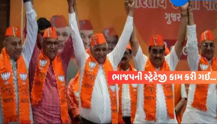 મોટા સમાચાર: ગુજરાતની 215 બેઠકો પર ભાજપનો બિનહરીફ વિજય, કોંગ્રેસને સૌથી મોટો ફટકો