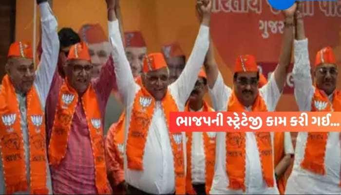 મોટા સમાચાર: ગુજરાતની 215 બેઠકો પર ભાજપનો બિનહરીફ વિજય, કોંગ્રેસને સૌથી મોટો ફટકો