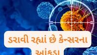 ખતરનાક કેન્સરની બીમારી, ભારતમાં દર વર્ષે 9 લાખ લોકોનાં મોત, યુવાઓે પણ ઝપેટમાં