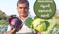 આ ગુજ્જુ ખેડૂત પાસેથી શીખો ઓર્ગેનિક ખેતીની પદ્ધતિ! 10 વિધામાં ખેતી કરી બન્યો લખપતિ!