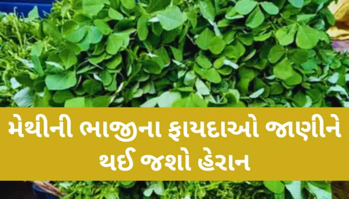 મેથીના પાંદડામાં છુપાયેલું છે સ્વાસ્થ્યનું રાજ,ડાયાબિટીસ સહિતની બીમારીમાં મળશે ફાયદો