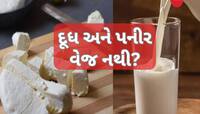 શું પનીર અને દૂધ વેજિટેરિયન નથી?  ભારતીય ડોક્ટરના નિવેદનથી ઊભો થયો વિવાદ