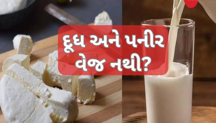 શું પનીર અને દૂધ વેજિટેરિયન નથી?  ભારતીય ડોક્ટરના નિવેદનથી ઊભો થયો વિવાદ