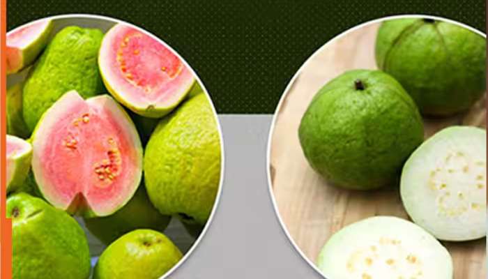 જામફળ અંદરથી લાલ છે કે સફેદ? આ ટ્રીકથી તમે જાતે જ જાણી શકશો