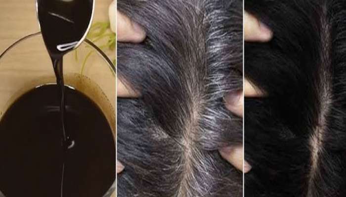 White Hair: સફેદ વાળને મૂળમાંથી કાળા કરી નાખશે આ તેલ, અઠવાડિયામાં 3 વાર લગાડો અને જુઓ ચમત્કાર