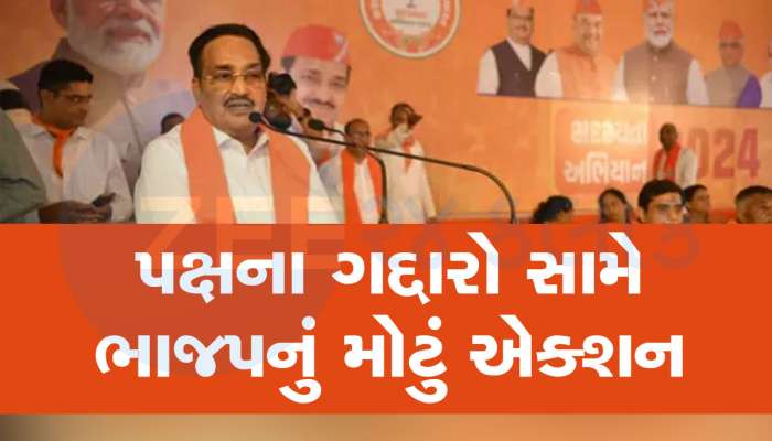 પક્ષથી વાંકા ચાલતા 26 કાર્યકર્તાઓે સામે ભાજપની મોટી કાર્યવાહી, મધ્ય ગુજરાતમાં સપાટો 
