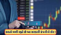 ₹100 પર જશે આ પાવર શેર, અત્યારે કિંમત છે ખૂબ સસ્તી, રાષ્ટ્રપતિ પાસે છે 677 કરોડ શેર