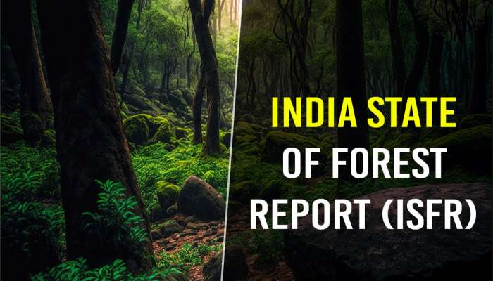 આ વાતમાં પાછળ રહી ગયું ગુજરાત મોડલ, આપણાથી આગળ નીકળી ગયું પાડોશી રાજ્ય