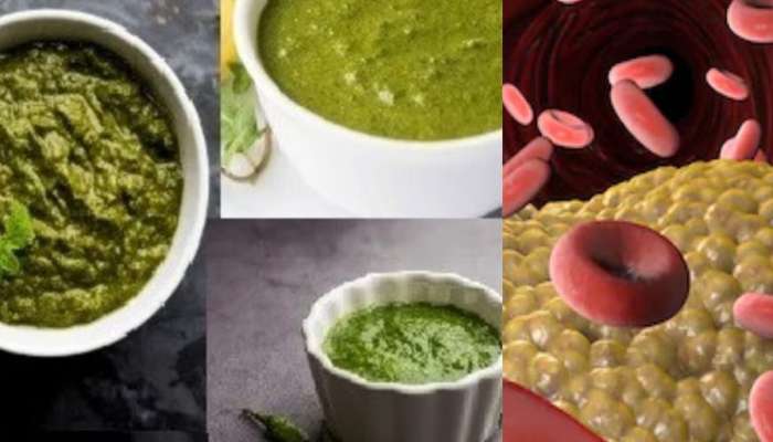Bad Cholesterol: નસોમાં જામેલા બેડ કોલેસ્ટ્રોલને સાફ કરી નાખશે આ 3 પ્રકારની ચટણી, ખાવાથી હાર્ટ રહેશે હેલ્ધી