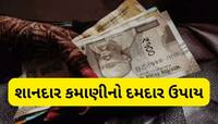 ખેતર વગર આ વસ્તુની ખેતી કરી દર મહિને 50 હજાર કમાય આ ખેડૂત, 25-30 દિવસમાં પાક તૈયાર
