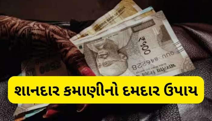 ખેતર વગર આ વસ્તુની ખેતી કરી દર મહિને 50 હજાર કમાય આ ખેડૂત, 25-30 દિવસમાં પાક તૈયાર