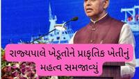 ગુજરાતને મોટો ખતરો! જમીનમાંથી ઉત્પન્ન થતા ધાન્યો બન્યા ઝેરયુક્ત, કેન્સરને આમંત્રણ 