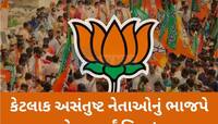 આ મુદ્દાઓએ ગુજરાતમાં ભાજપની છબી બગાડી! ચૂંટણી બાદ અસંતુષ્ટ નેતાઓના માથે પડશે ગાજ