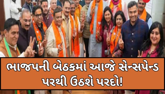 આખરે દિલ્હી CMનું નામ થઈ ગયું ફાઈનલ? નડ્ડાને મળ્યા 10 ધારાસભ્યો, આજે લાગશે મોહર
